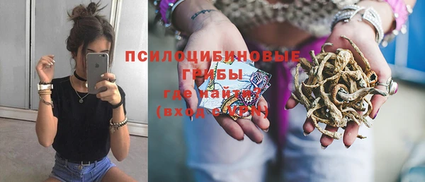 винт Алзамай
