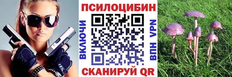 Псилоцибиновые грибы Psilocybine cubensis  где продают наркотики  Таштагол 
